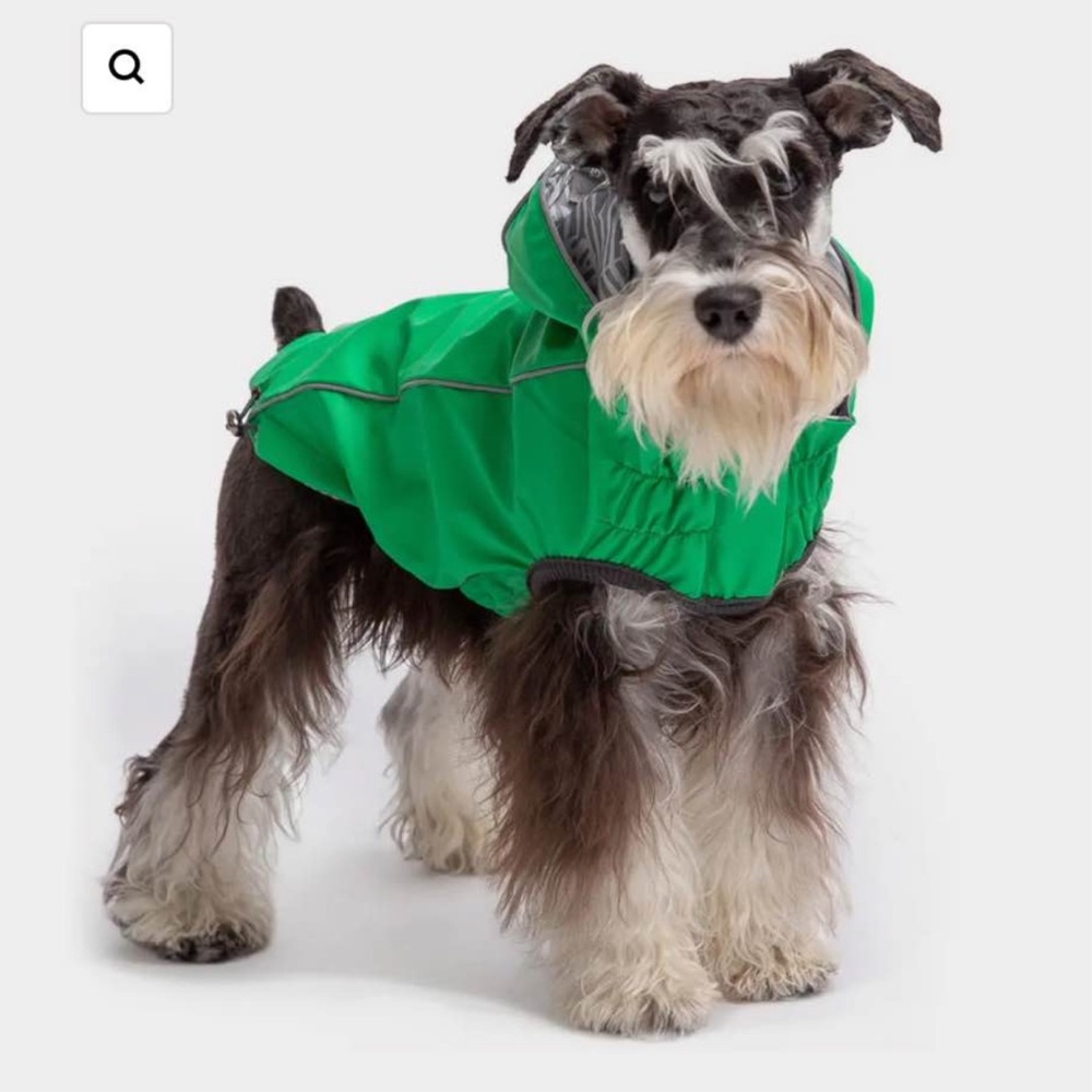 Green Dog Raincoat GF PET LARGE